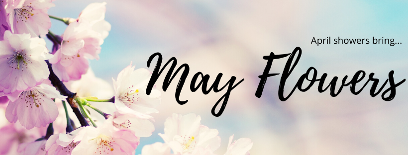 april showers bring may flowers banner